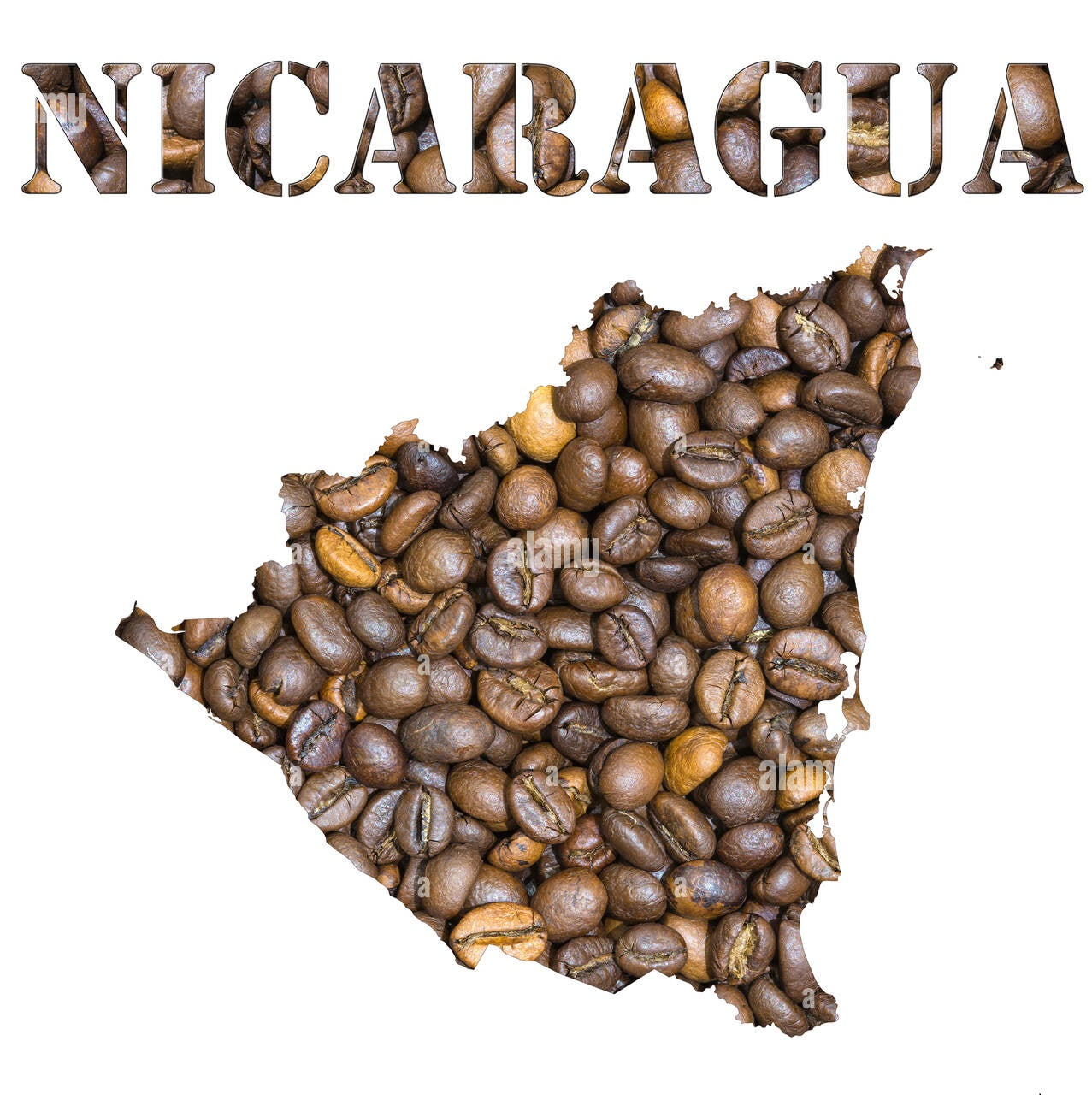 Nicaraguan Coffee Guide to Nicaraguan Beans, Regions, Flavor Notes