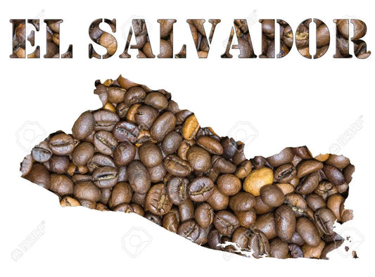 El Salvador Coffee: Facts, Guide, Best Brands