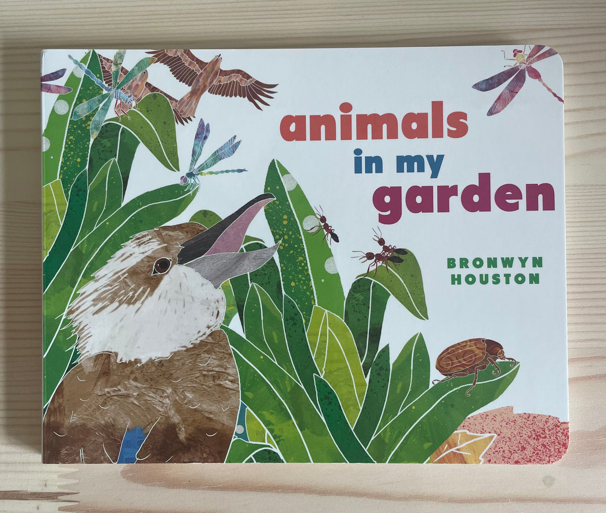 Animals in my Garden- Bronwyn Houston